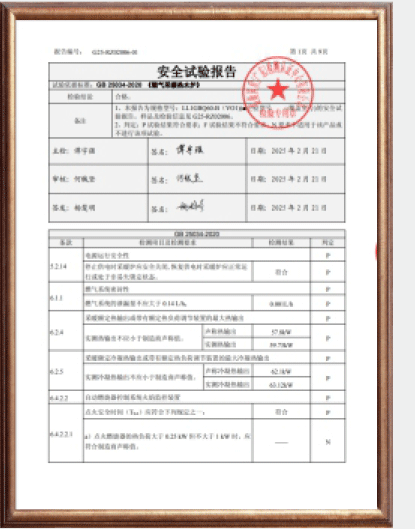 安全试验报告
